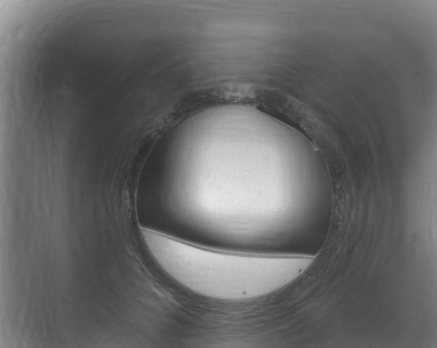 X0000073710704200608031040