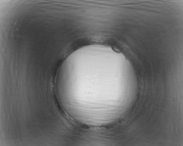 X0000073710707200608031040