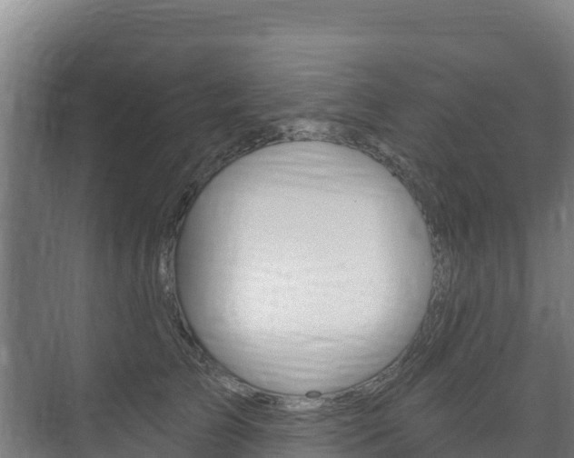 X0000073710709200608031040