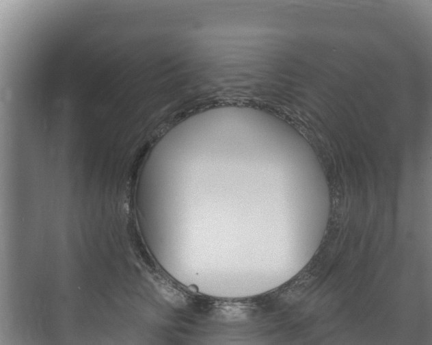 X0000073710710200608031040