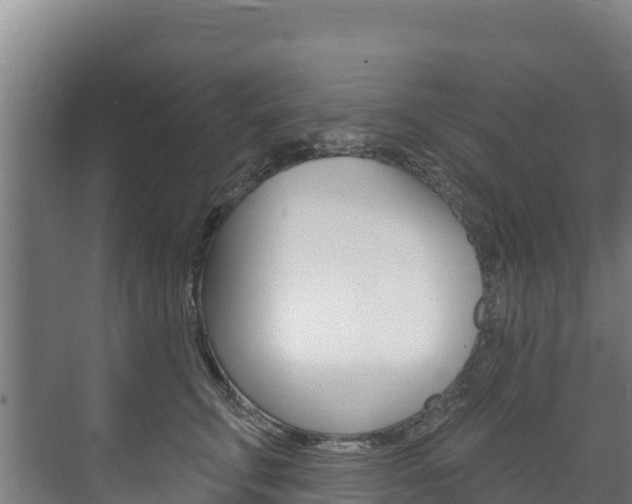 X0000073710711200608031040