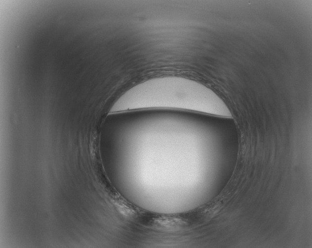 X0000073710712200608031040