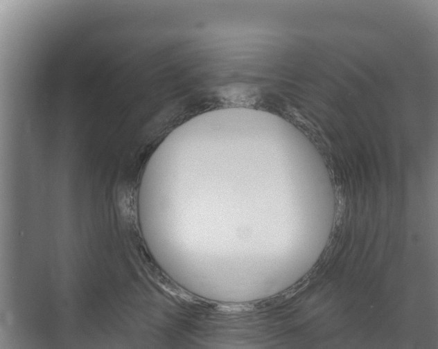 X0000073710713200608031040