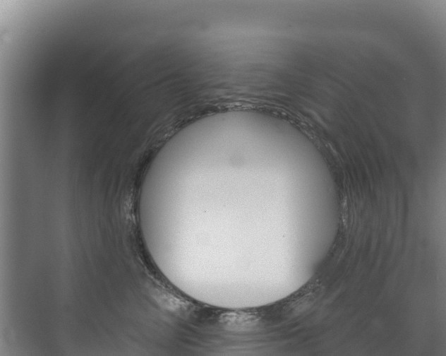 X0000073710714200608031040