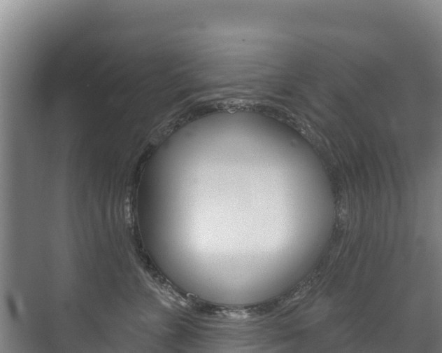 X0000073710715200608031040