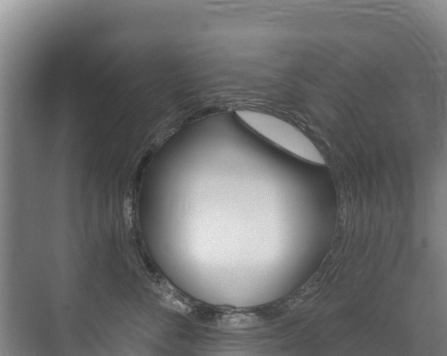 X0000073710716200608031040