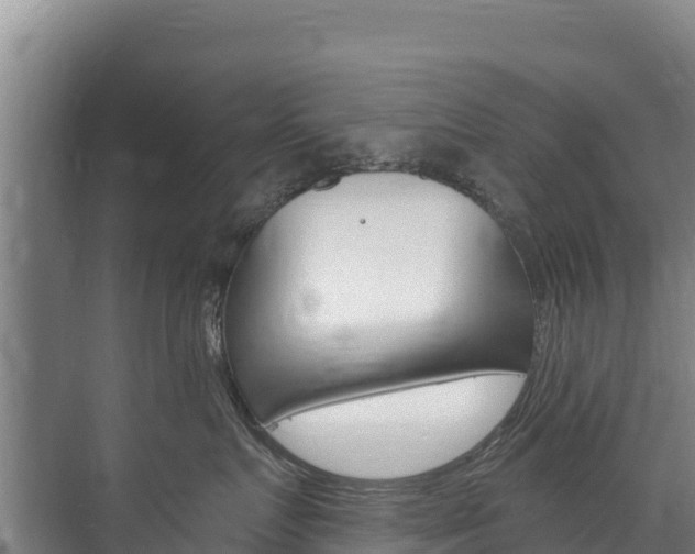 X0000073710719200608031040