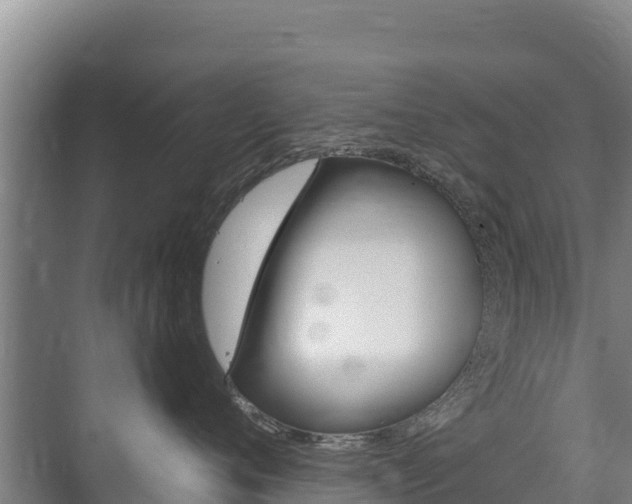 X0000073710720200608031040