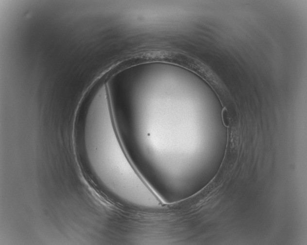 X0000073710722200608031039