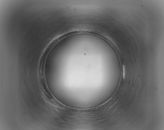 X0000073710723200608031039