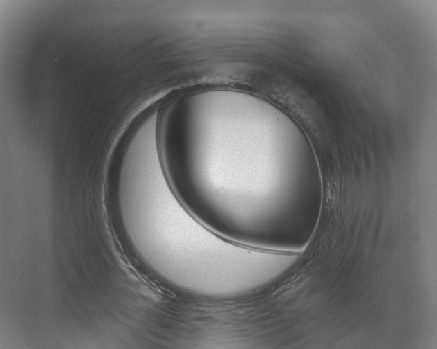 X0000073710724200608031039