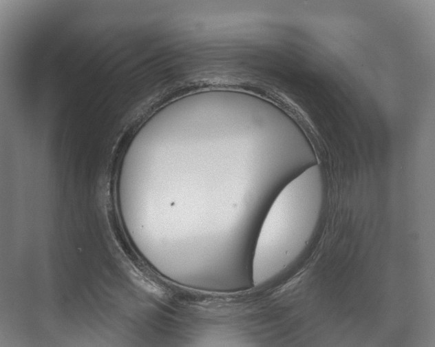 X0000073710725200608031039