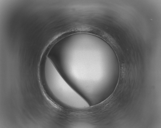 X0000073710726200608031040