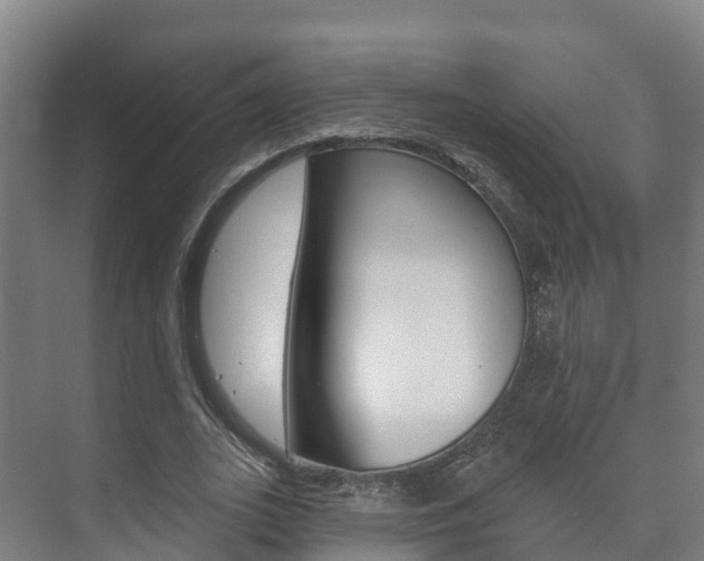 X0000073710727200608031040