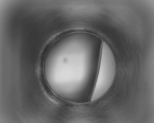 X0000073710728200608031040