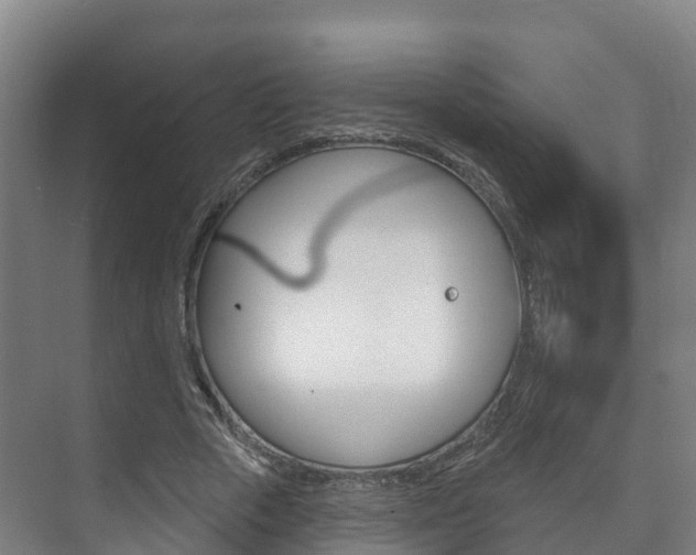 X0000073710729200608031040