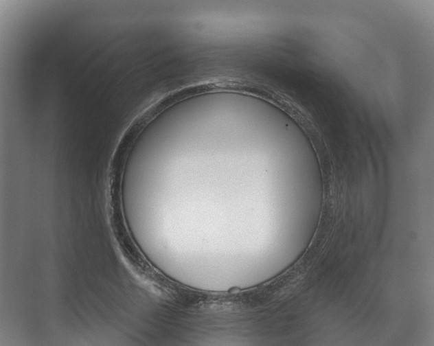 X0000073710730200608031040