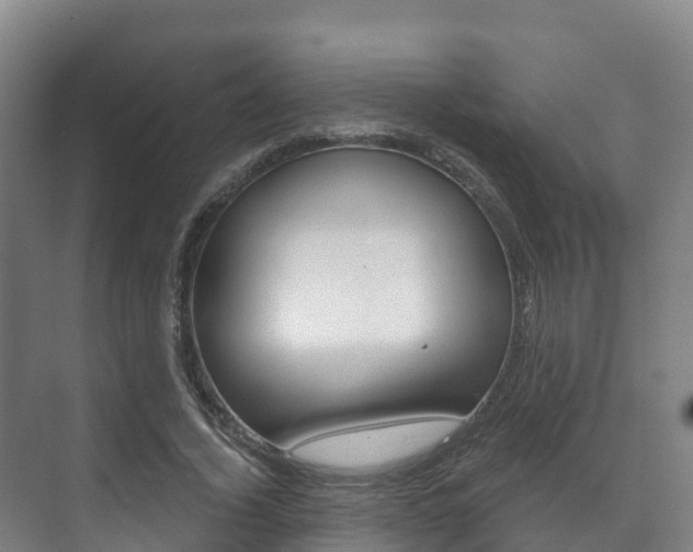 X0000073710732200608031040