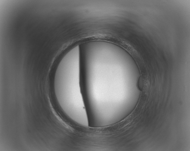 X0000073710734200608031040