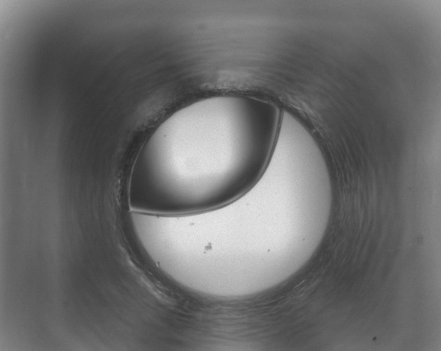 X0000073710735200608031040