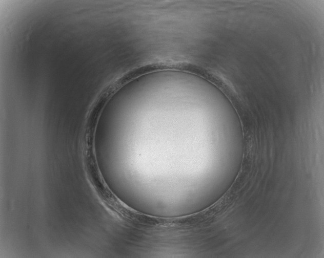 X0000073710736200608031040