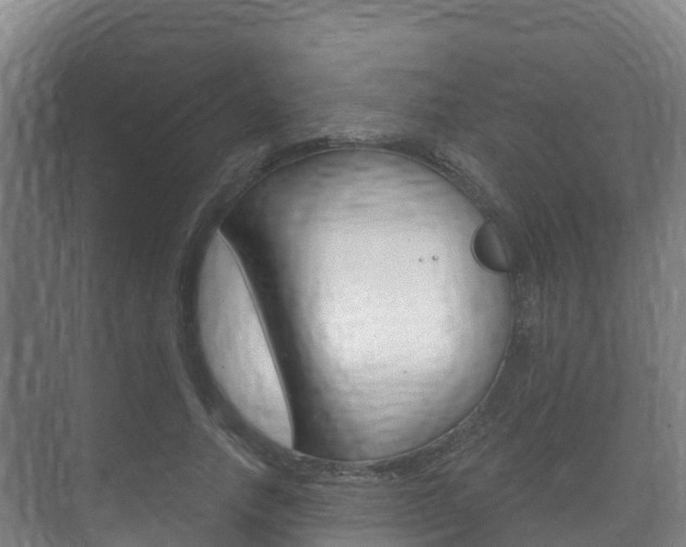 X0000073710738200608031040