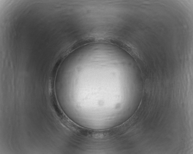 X0000073710740200608031040