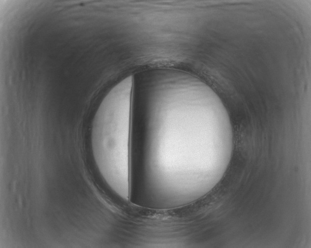 X0000073710742200608031040