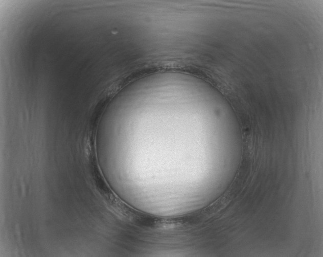 X0000073710746200608031040