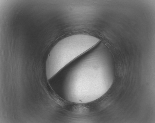 X0000073710747200608031040