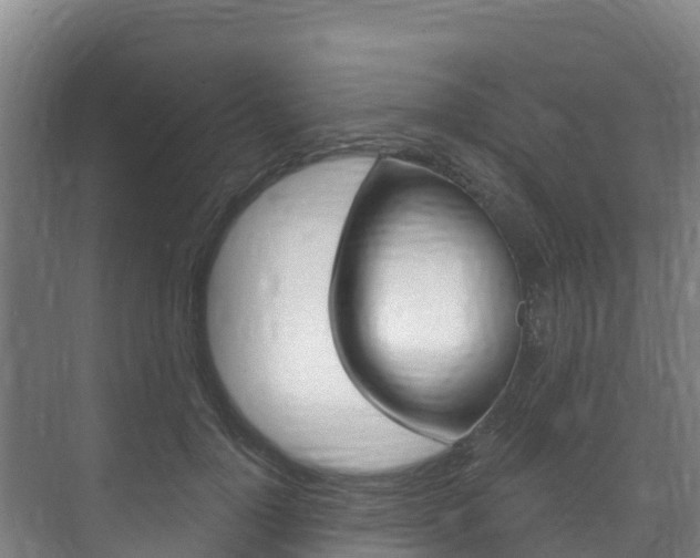 X0000073710748200608031040