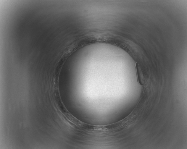 X0000073710752200608031040