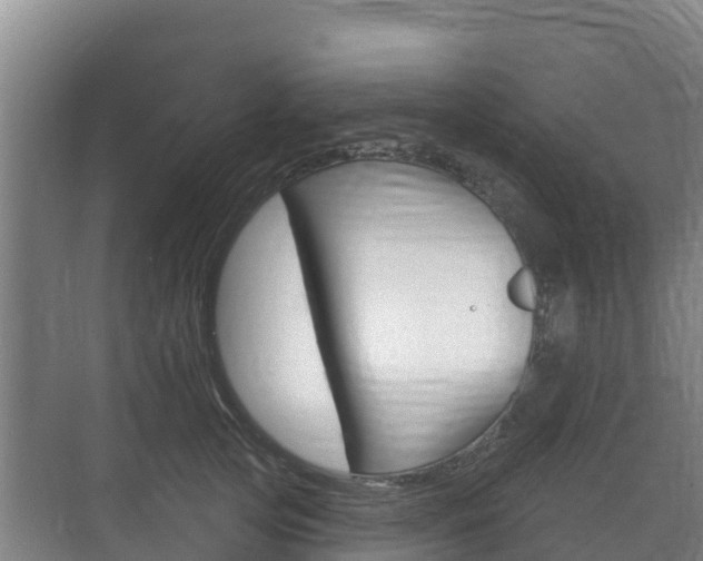 X0000073710753200608031040