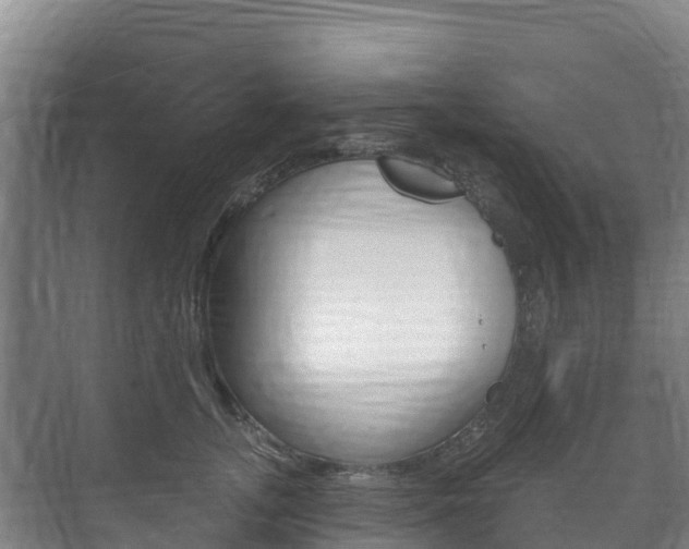 X0000073710755200608031040