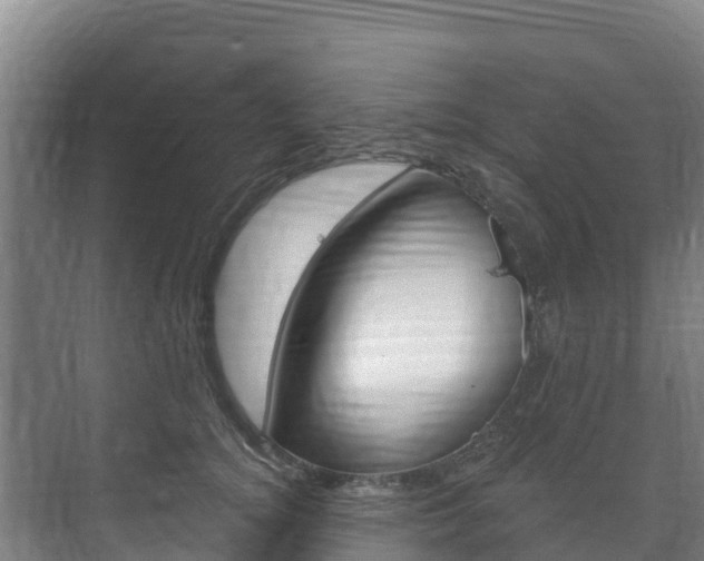 X0000073710756200608031040