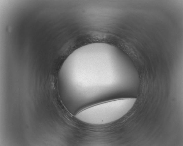 X0000073710758200608031040