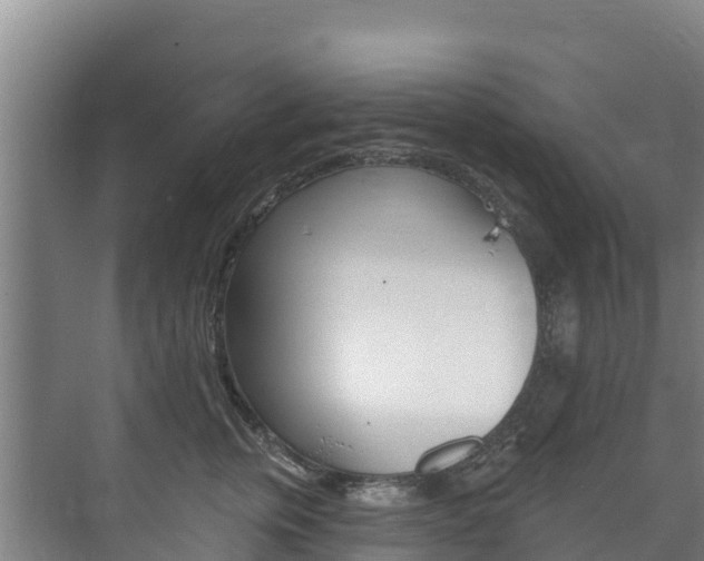 X0000073710759200608031040