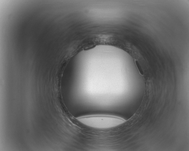 X0000073710760200608031040