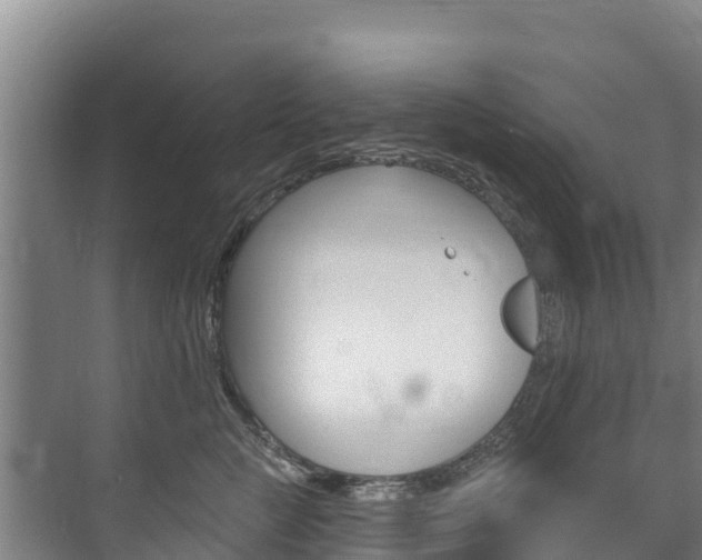 X0000073710761200608031040