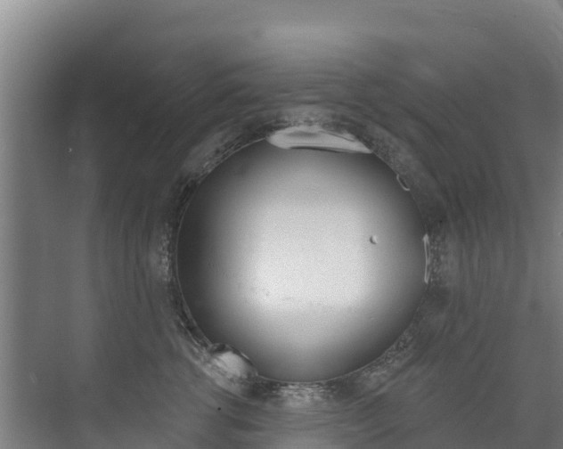 X0000073710762200608031040