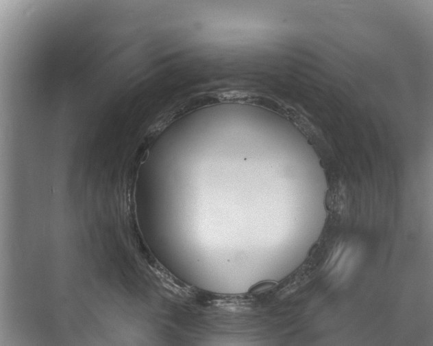 X0000073710763200608031040