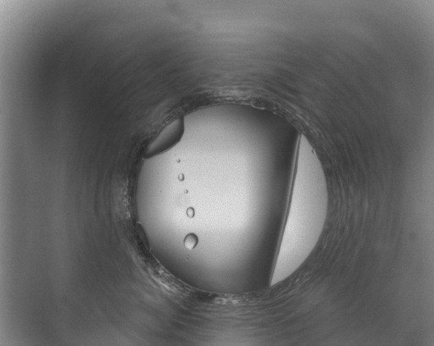 X0000073710764200608031040