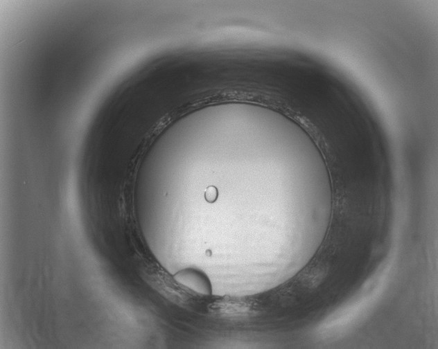 X0000073710765200608031040