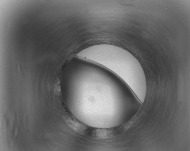 X0000073710766200608031040