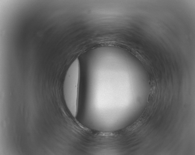 X0000073710767200608031040