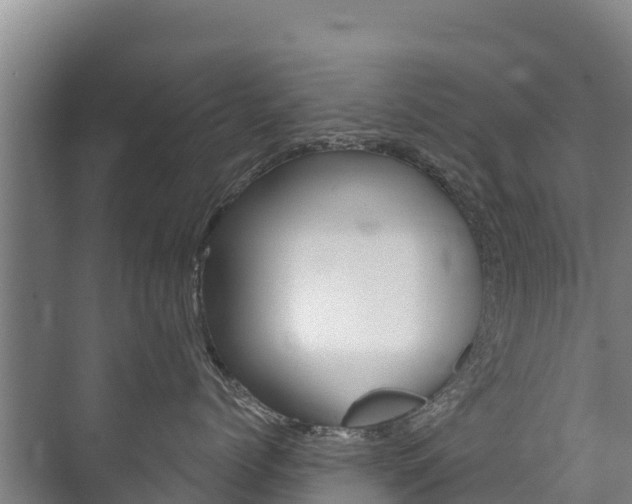 X0000073710768200608031040