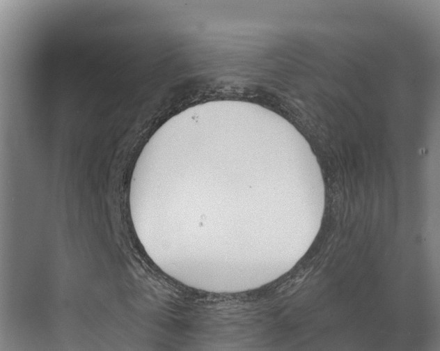 X0000073710769200608031039