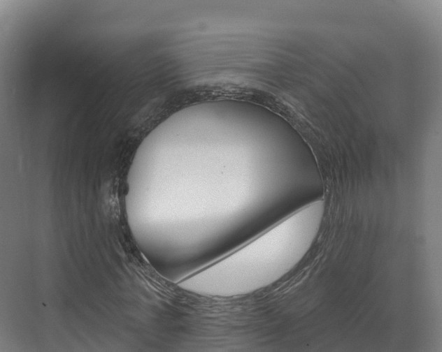 X0000073710771200608031039