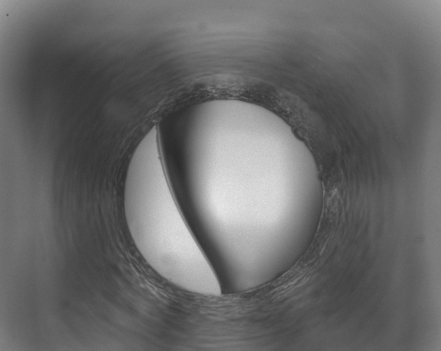 X0000073710772200608031039