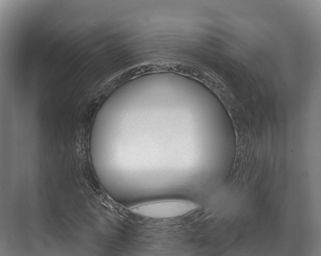 X0000073710773200608031039